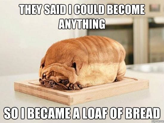 bread-dog